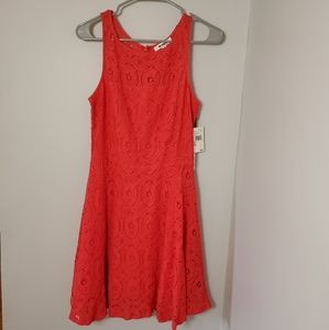 Renley Lace Fit and Flare BB Dakota Dress